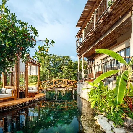 Hotel Shibari - Restaurant & Cenote Club-3